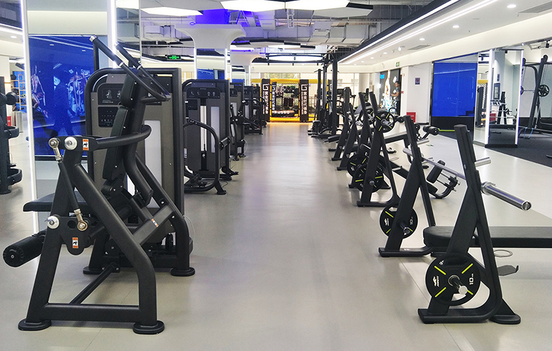 快盈VIII力量器械