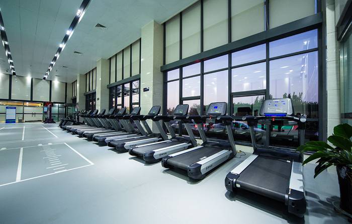 室内健身器材-快盈VIIIV9跑步机 室内健身器材-快盈VIIIV9跑步机